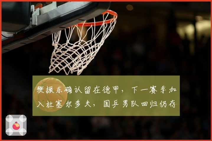 樊振东确认留在德甲，下一赛季加入杜塞尔多夫，国乒男队回归仍存不确定性