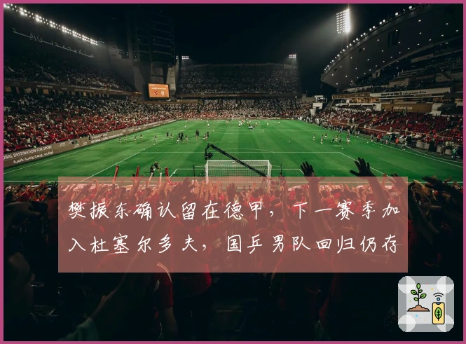 樊振东确认留在德甲，下一赛季加入杜塞尔多夫，国乒男队回归仍存不确定性